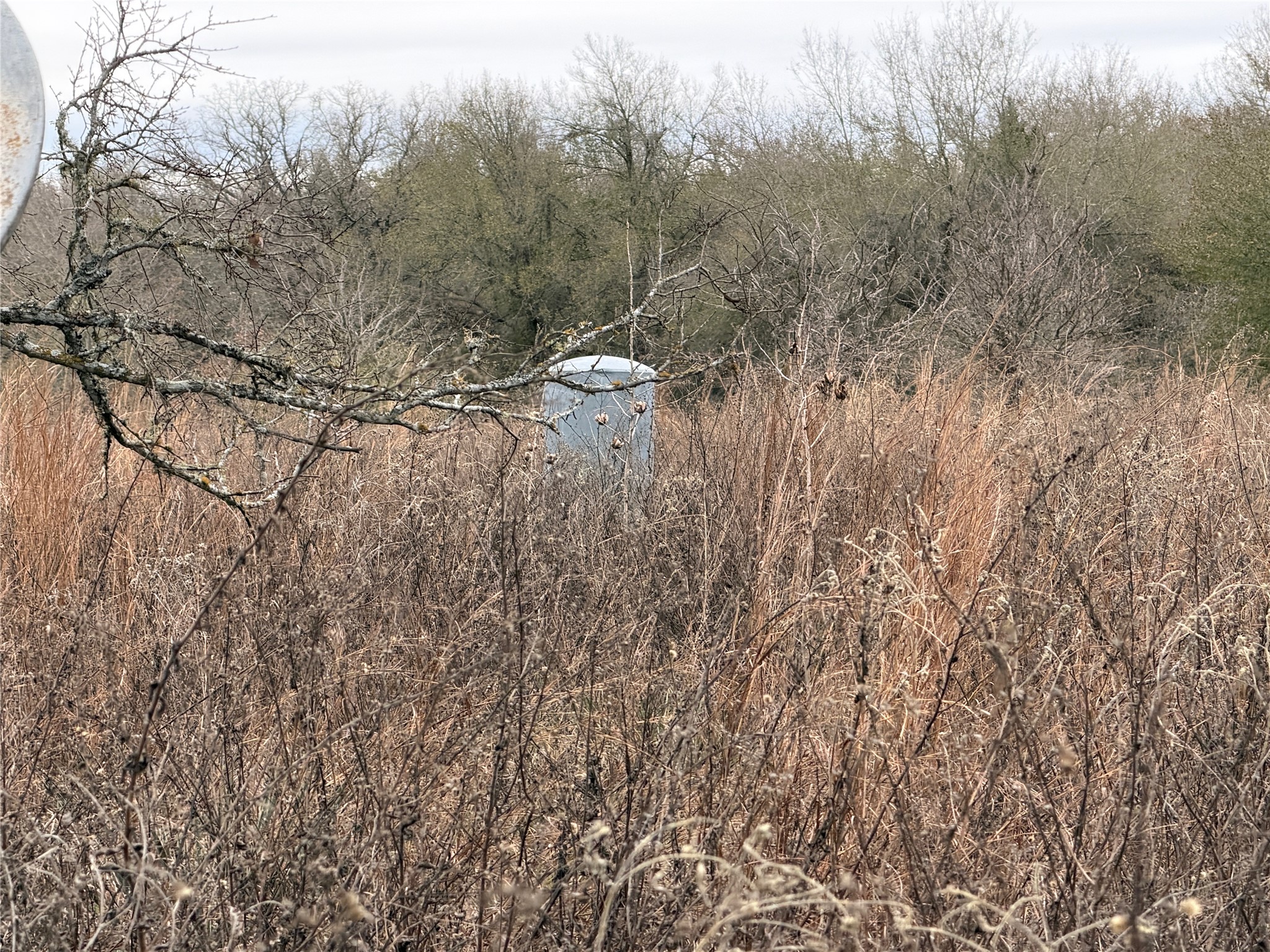 8590 Hammond Road Calvert, TX 77837 - Photo 16 of 22