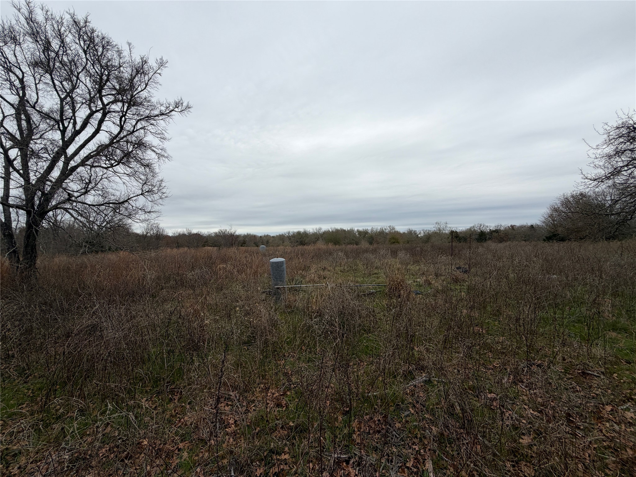 8590 Hammond Road Calvert, TX 77837 - Photo 17 of 22