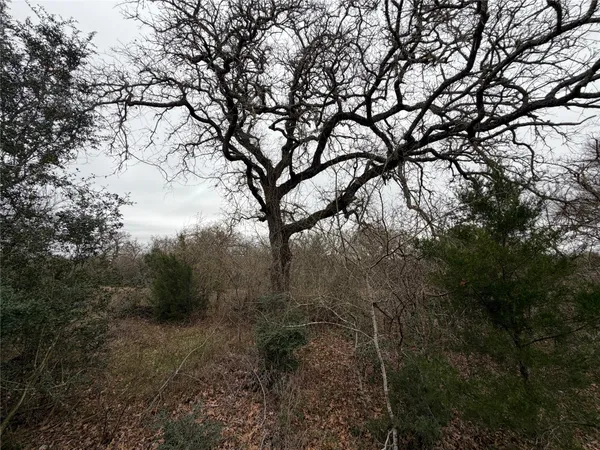 $449,000 | 8590 Hammond Road, Calvert, TX 77837