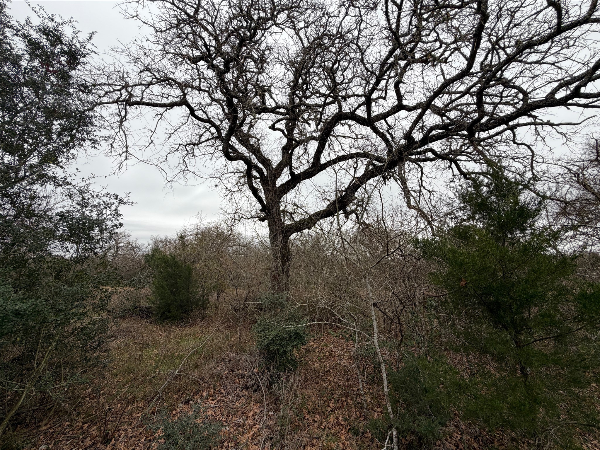 8590 Hammond Road Calvert, TX 77837 - Photo 20 of 22
