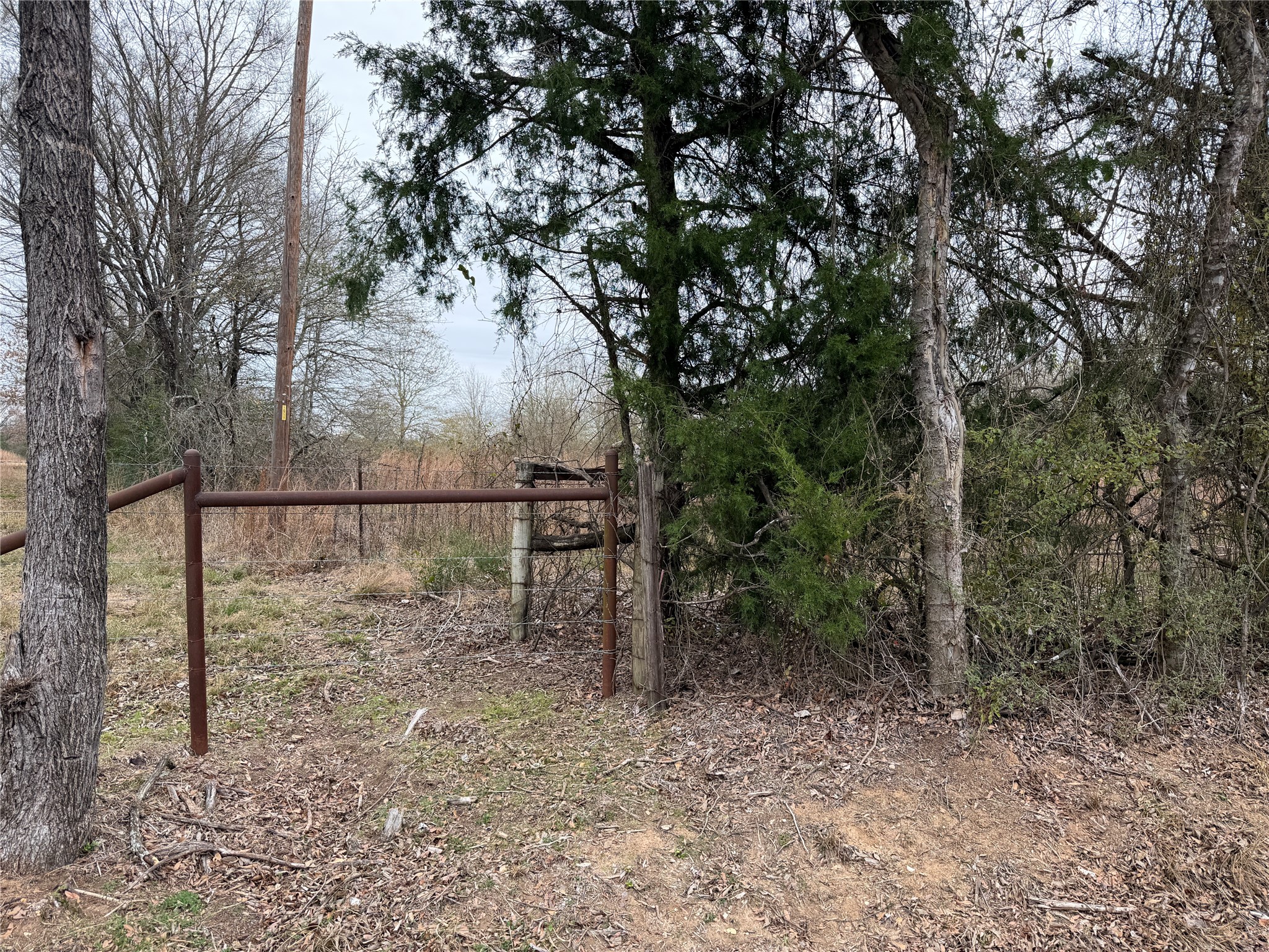 8590 Hammond Road Calvert, TX 77837 - Photo 3 of 22