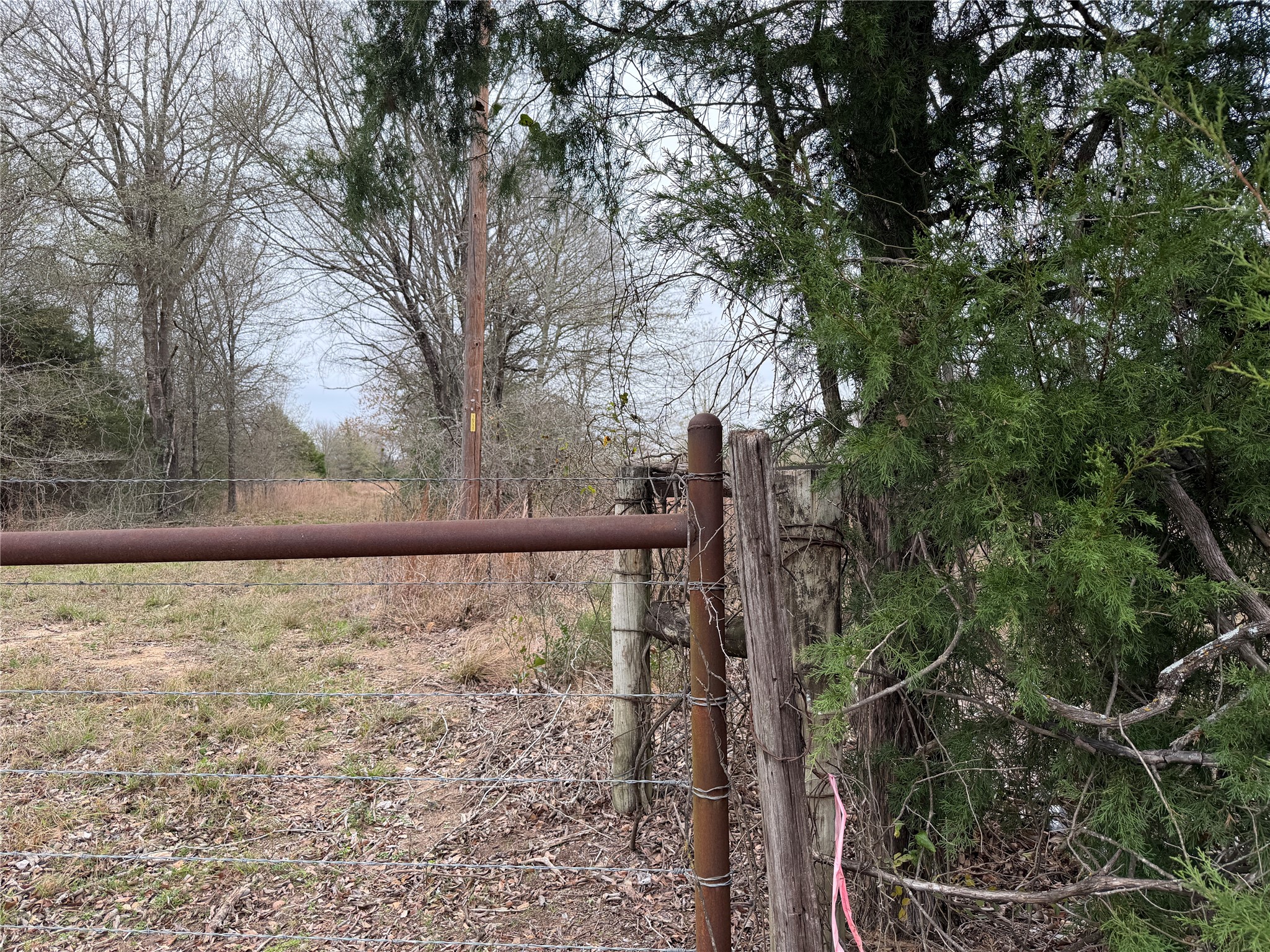 8590 Hammond Road Calvert, TX 77837 - Photo 4 of 22