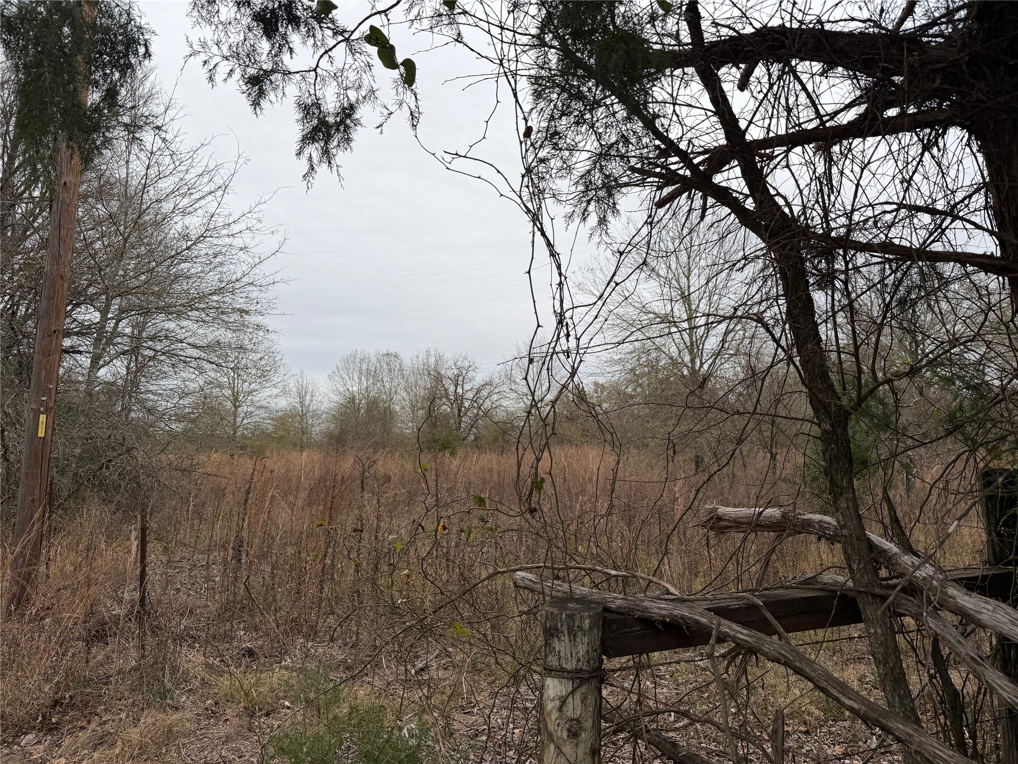 8590 Hammond Road Calvert, TX 77837 - Photo 5 of 22