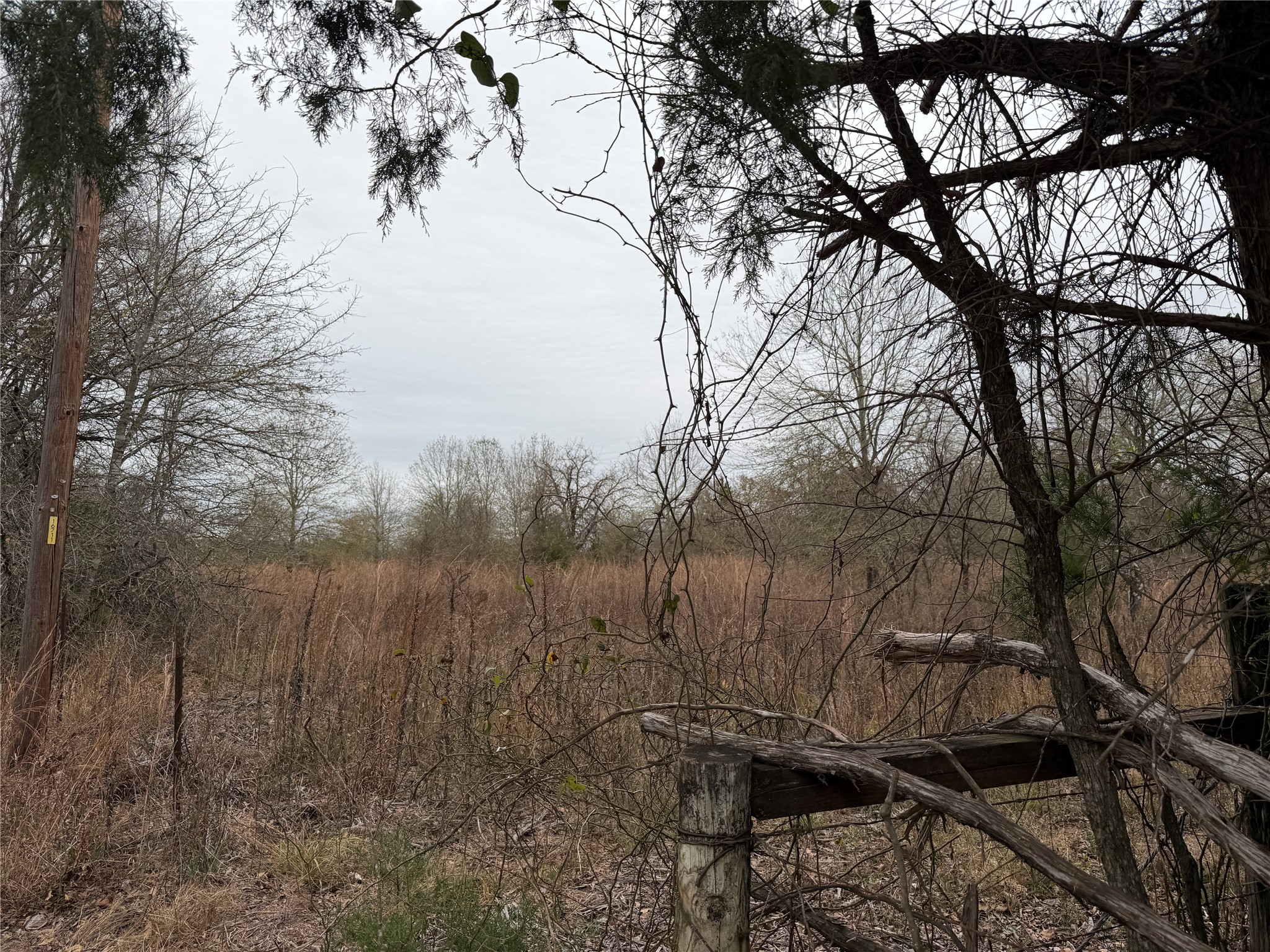 8590 Hammond Road Calvert, TX 77837 - Photo 6 of 22