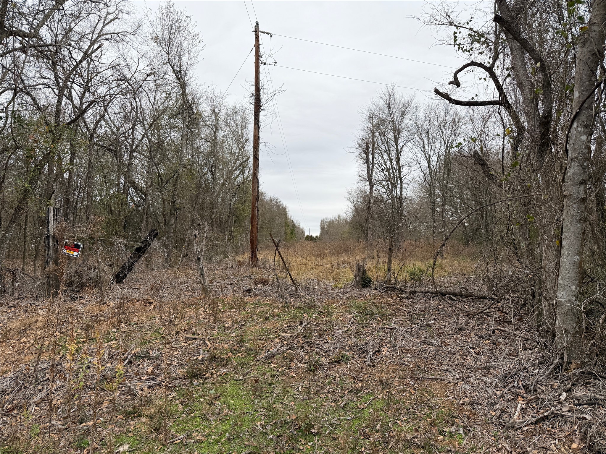 8590 Hammond Road Calvert, TX 77837 - Photo 8 of 22