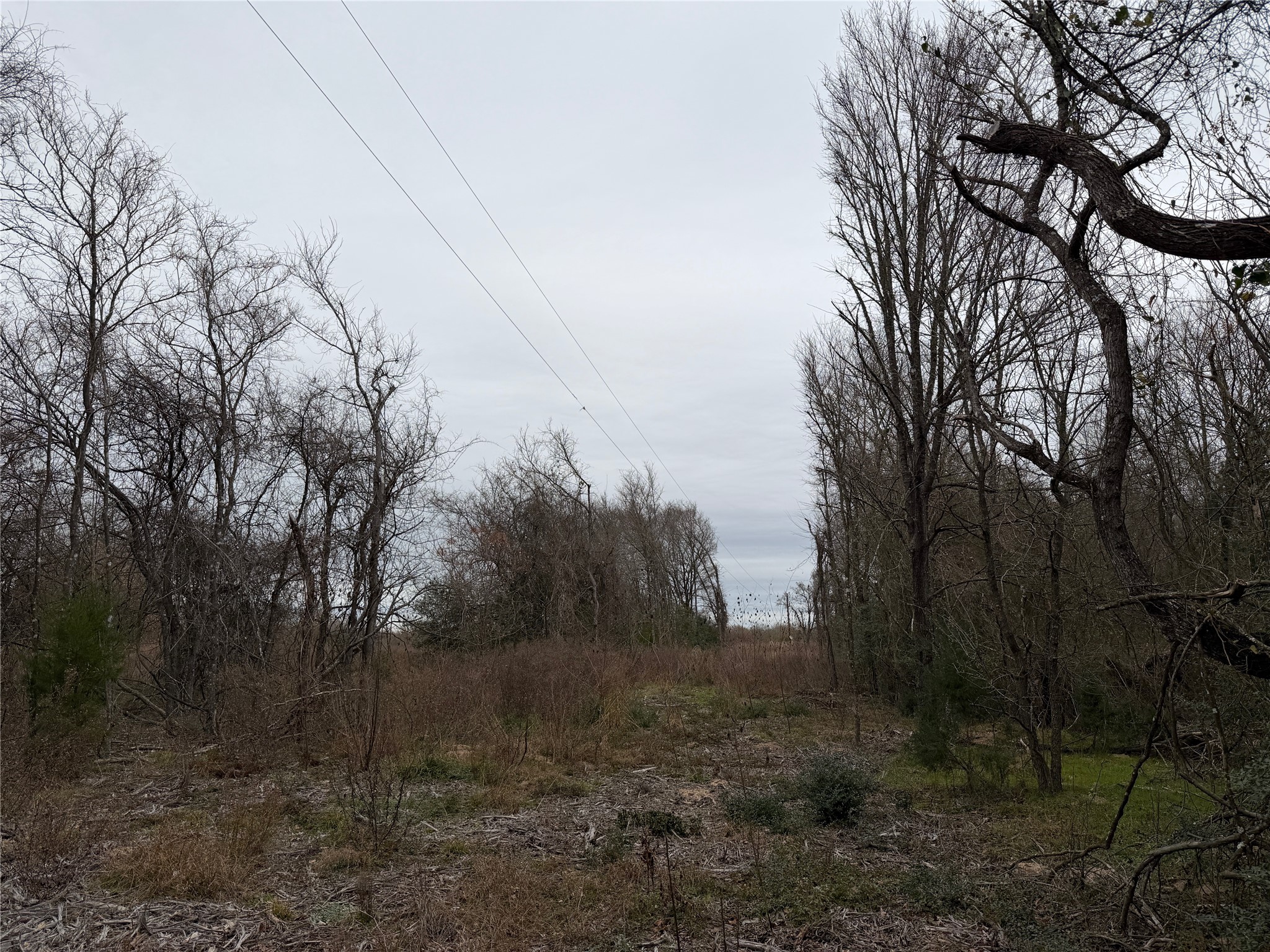 8590 Hammond Road Calvert, TX 77837 - Photo 9 of 22