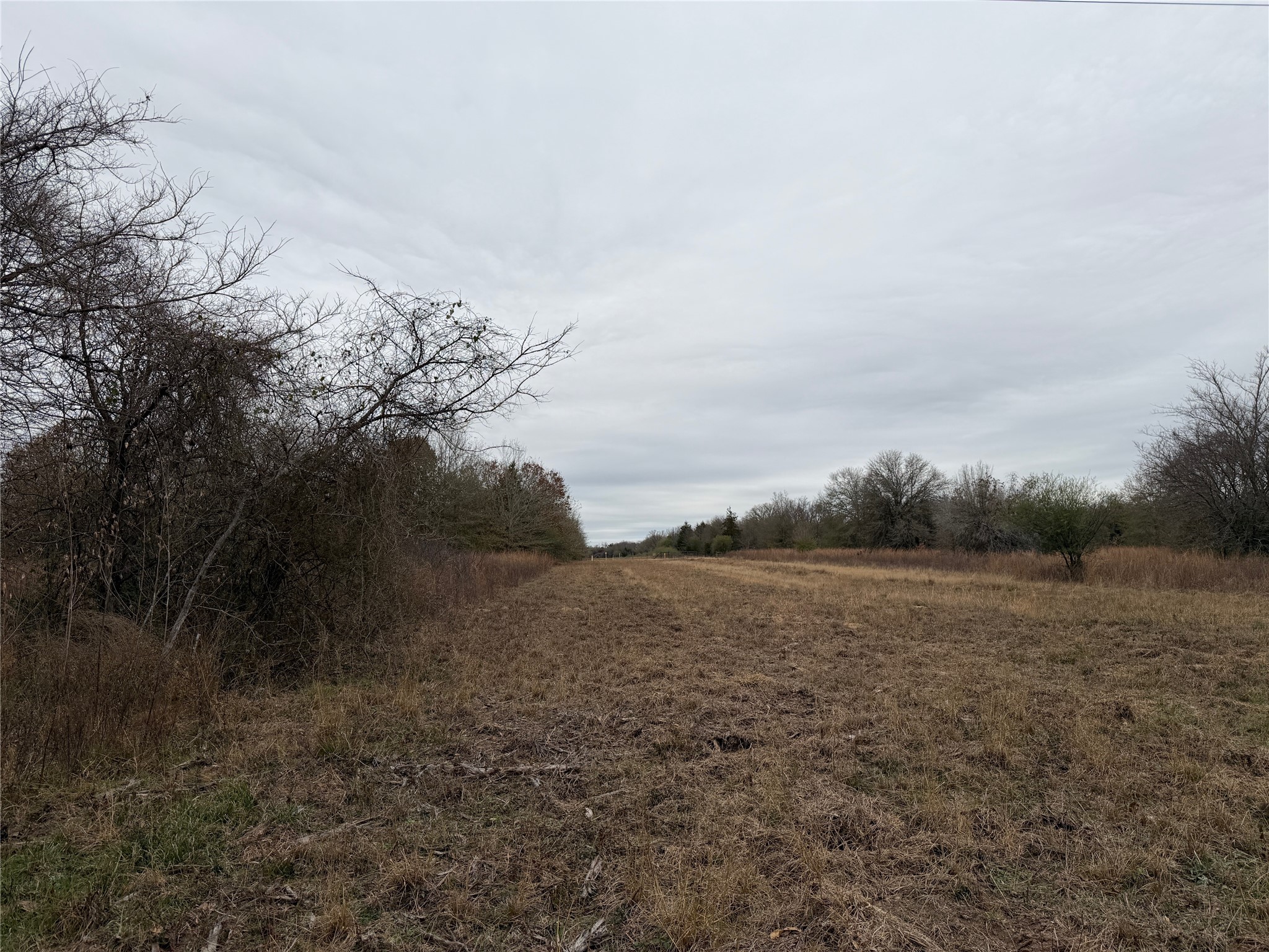 8590 Hammond Road Calvert, TX 77837 - Photo 10 of 22