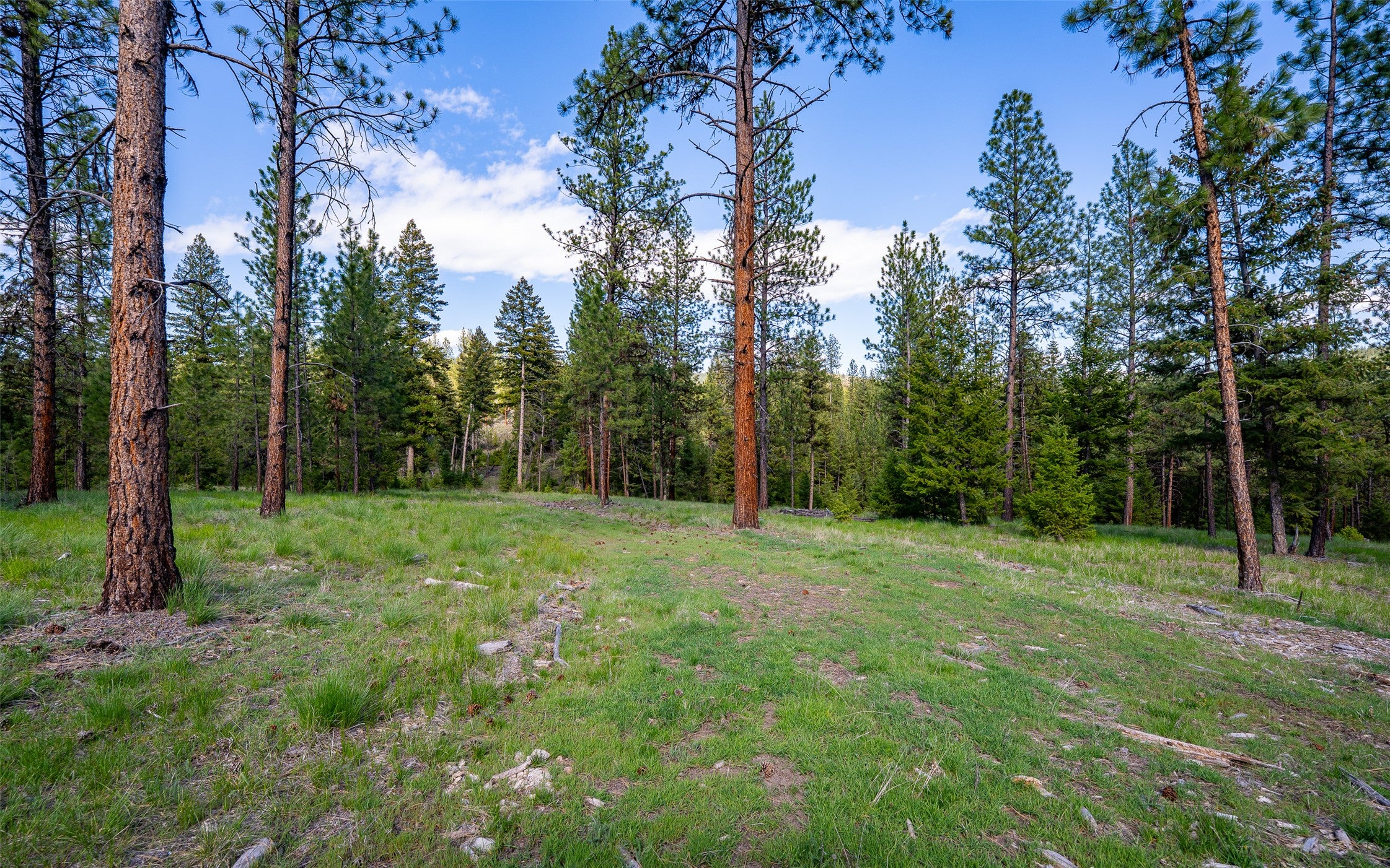 3605 Hubbart Dam Road Marion, MT 59925 - Photo 23 of 28 Gallery Image 23