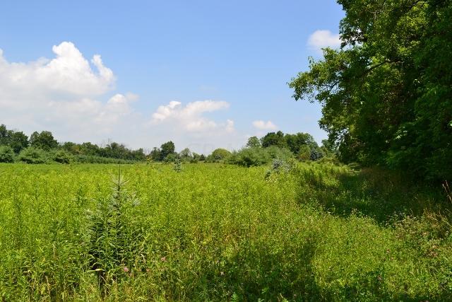 B Morse Road Pataskala, OH 43062 - Photo 3 of 7