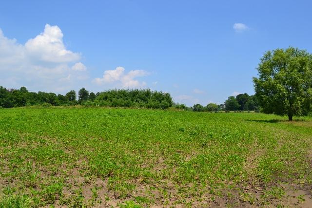 B Morse Road Pataskala, OH 43062 - Photo 4 of 7