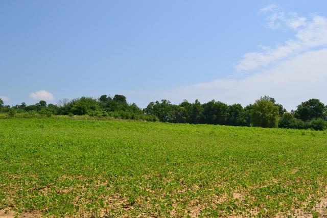 B Morse Road Pataskala, OH 43062 - Photo 5 of 7