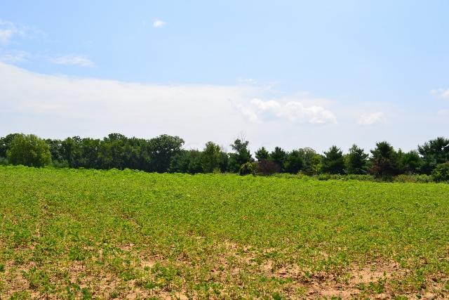B Morse Road Pataskala, OH 43062 - Photo 6 of 7