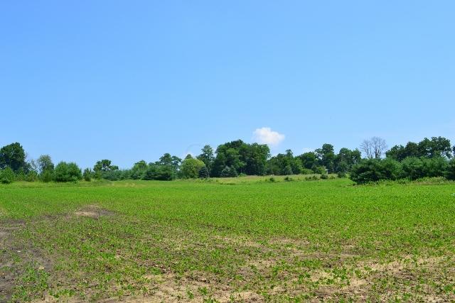 B Morse Road Pataskala, OH 43062 - Photo 7 of 7