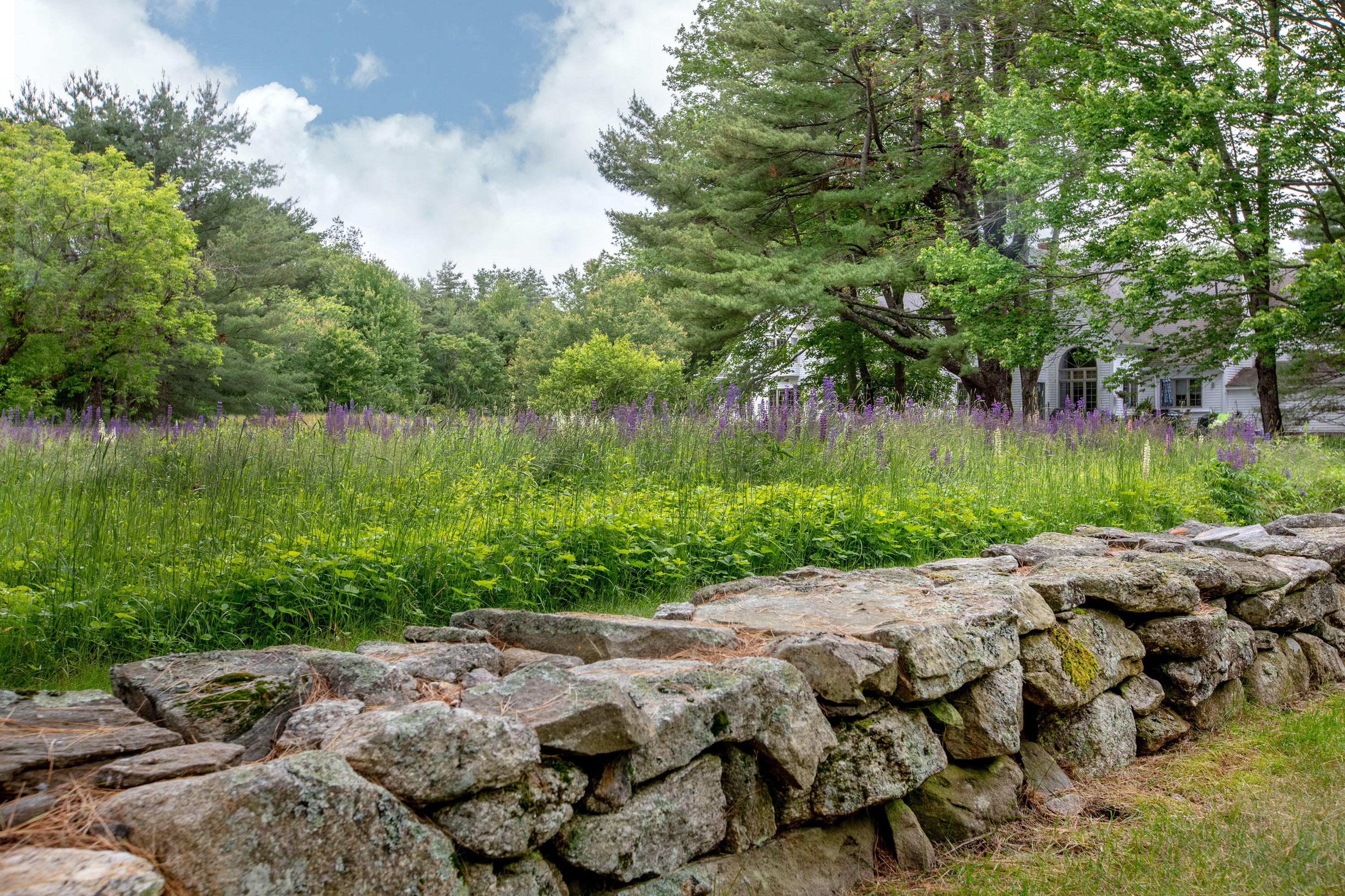 Zeitler Farm_Chalmers_68