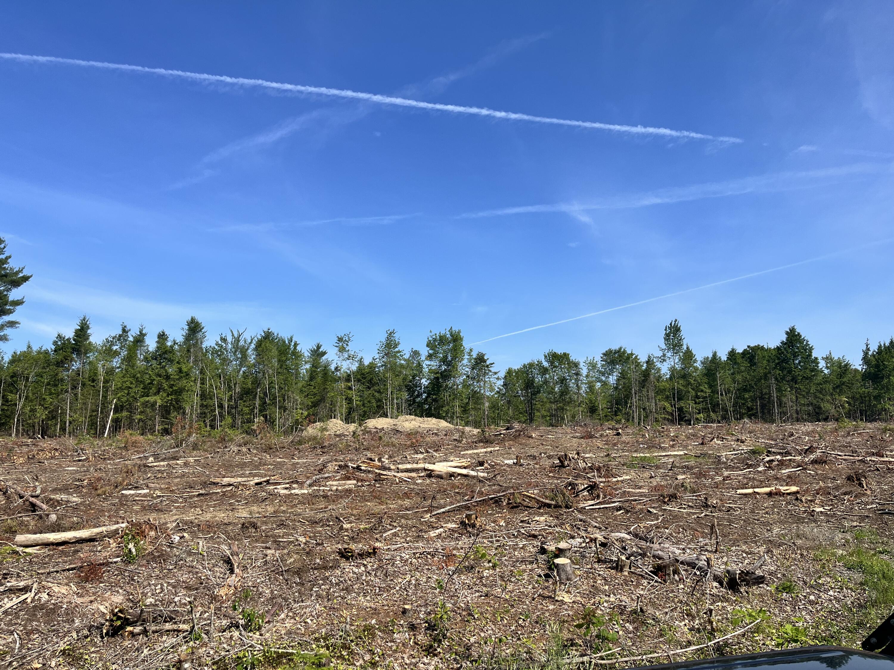 Lot 2-1 Merrill Road Levant, ME 04456 - Photo 3 of 4 IMG_1337