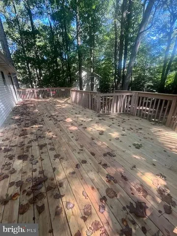 a view of backyard with wooden fence and large trees