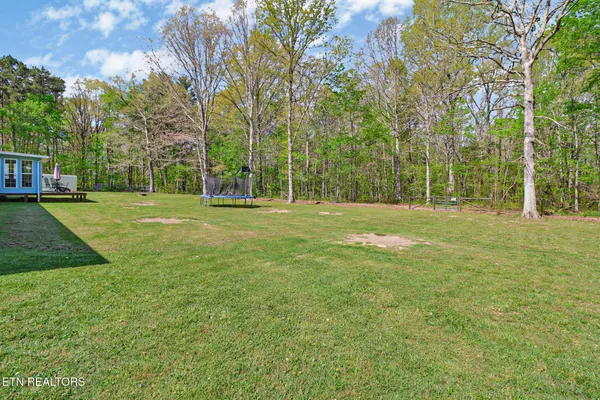 a view of a park with large trees