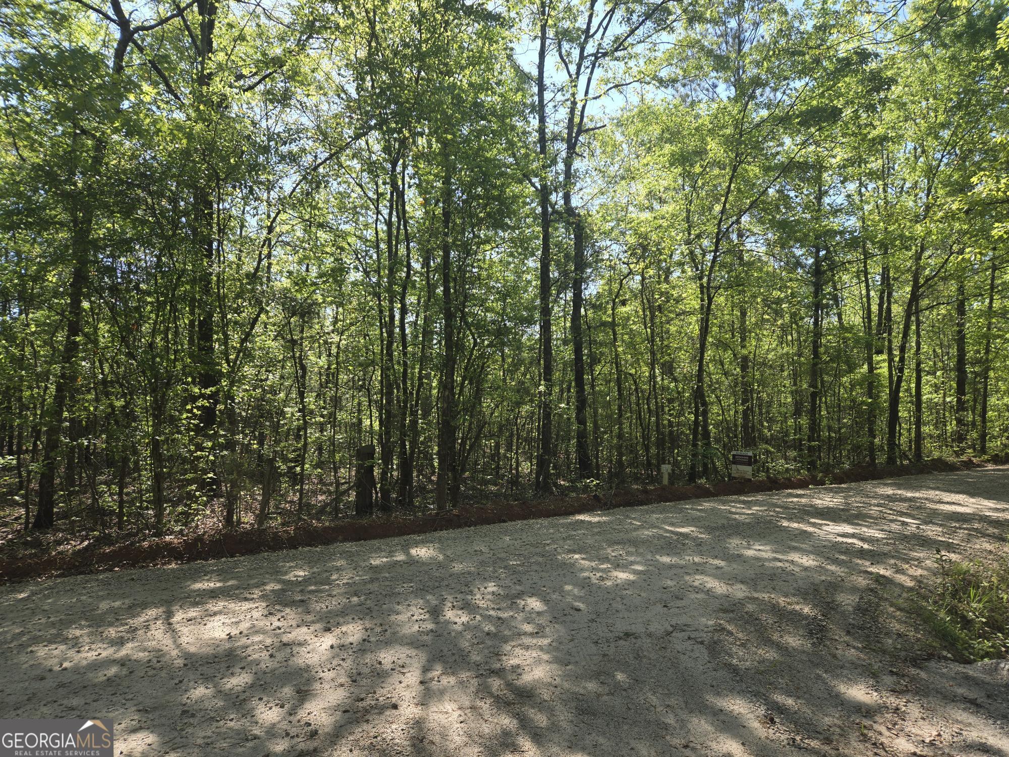 0 Fossett Road Zebulon, GA 30295 - Photo 1 of 6 a view of outdoor space with trees