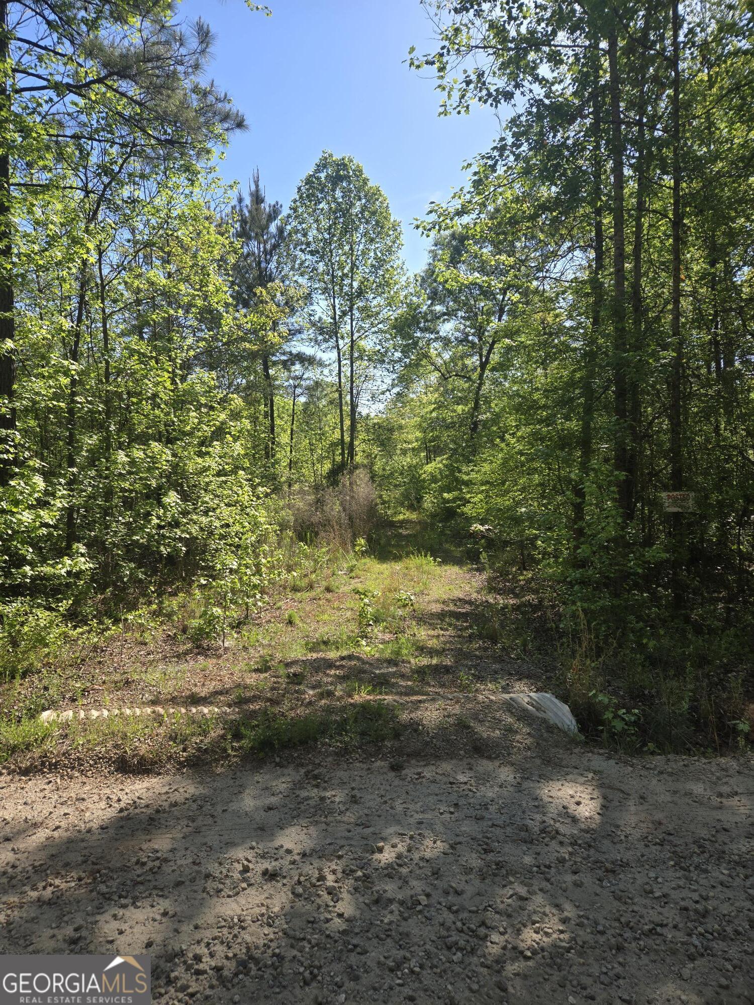 0 Fossett Road Zebulon, GA 30295 - Photo 2 of 6 a view of a yard with plants and trees