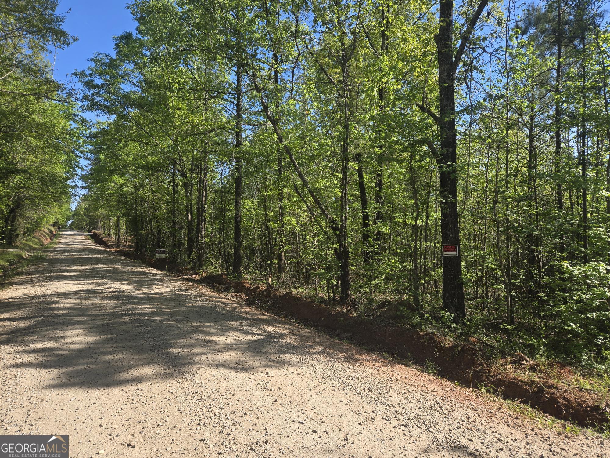 0 Fossett Road Zebulon, GA 30295 - Photo 3 of 6 a view of a yard with plants and trees