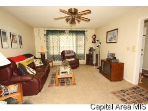 224 Dickinson Road Springfield, IL 62704 - Photo 3 of 11