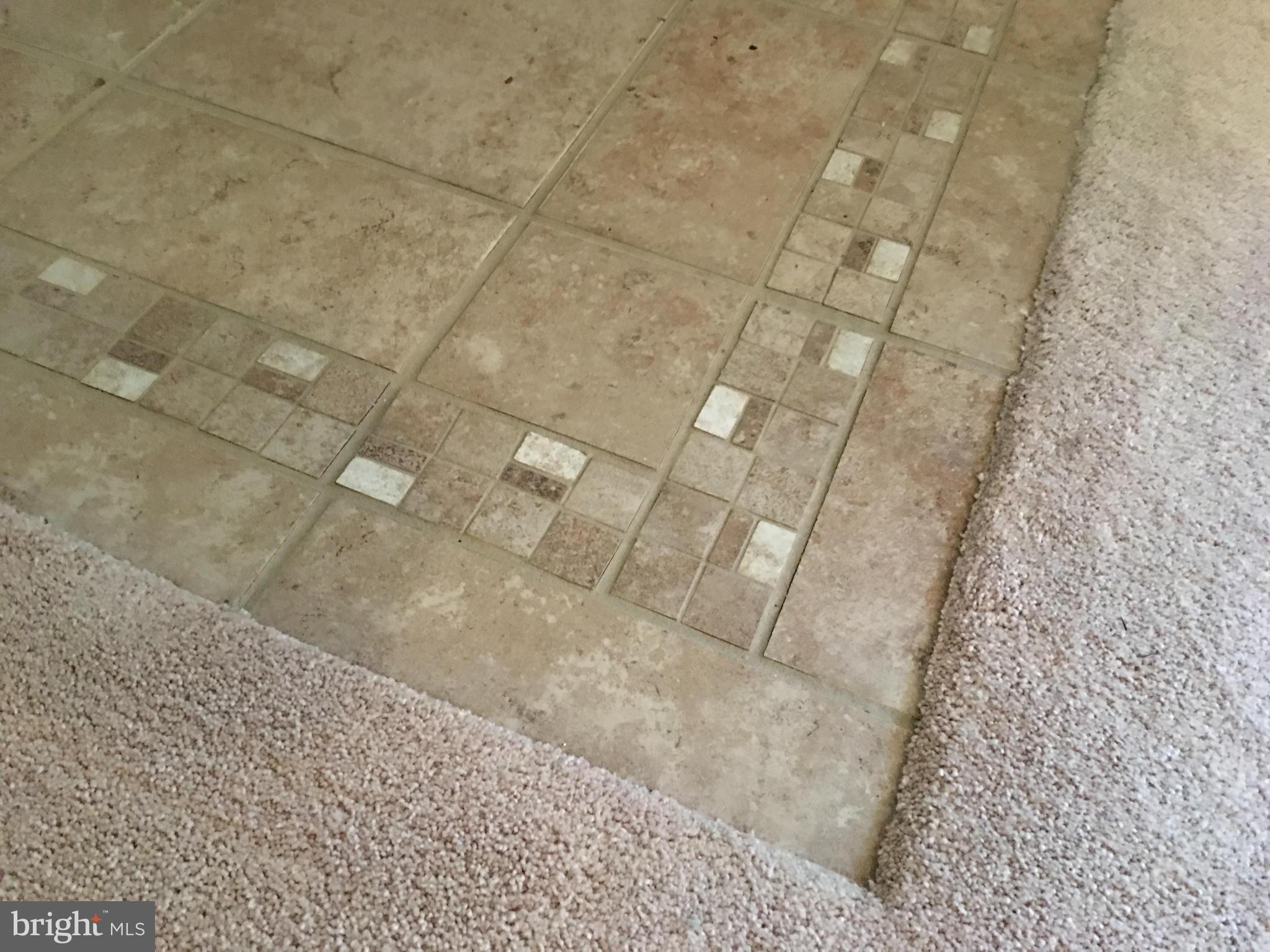 2478 Warm Spring Way Odenton, MD 21113 - Photo 22 of 30 Family Room 6'x6' Decorative Tile Walk-In