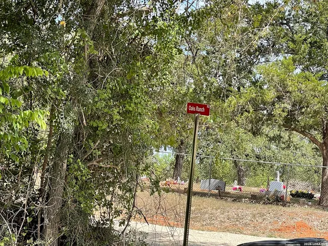 a flag is sitting in the middle of a tree