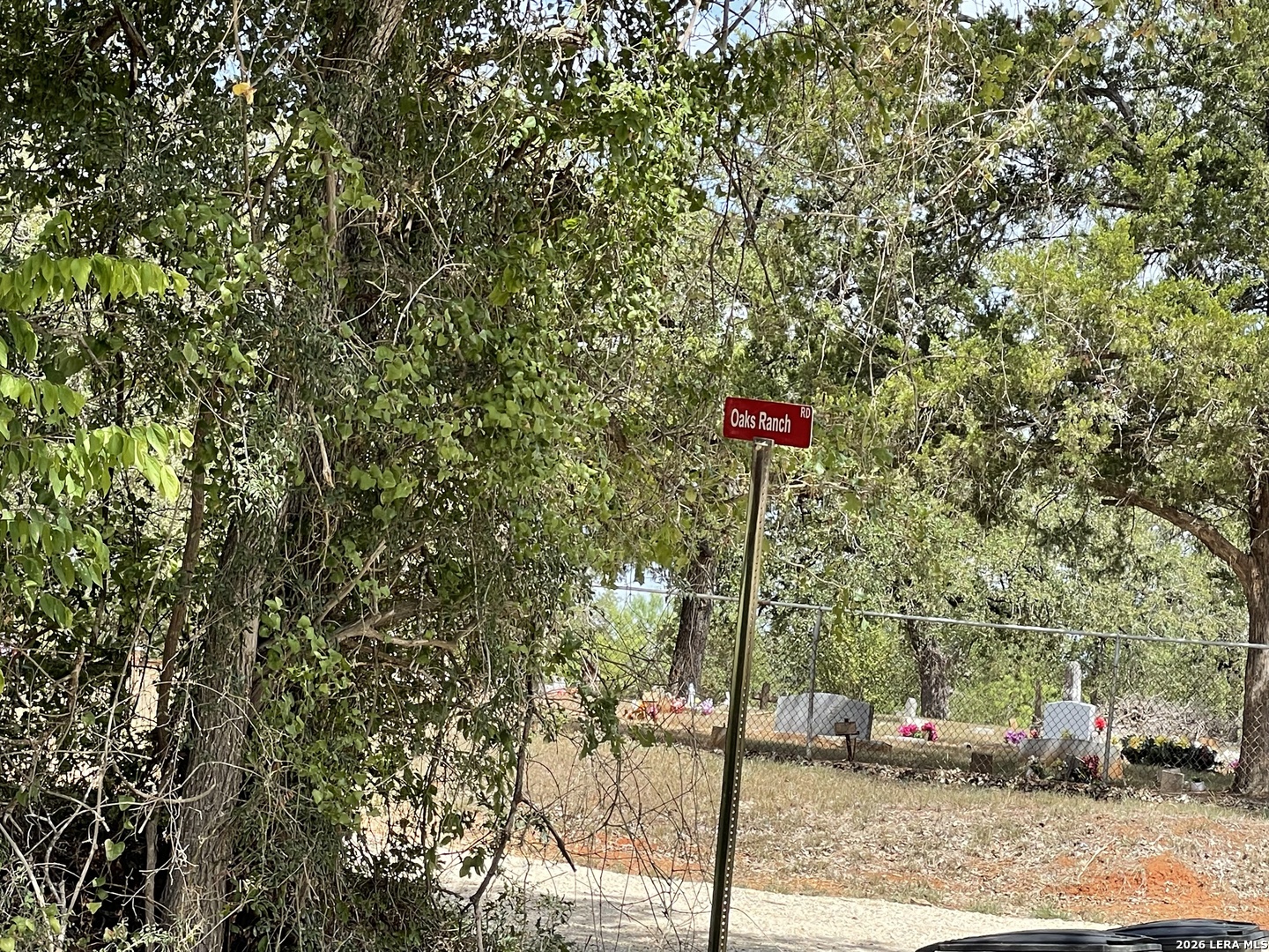a flag is sitting in the middle of a tree