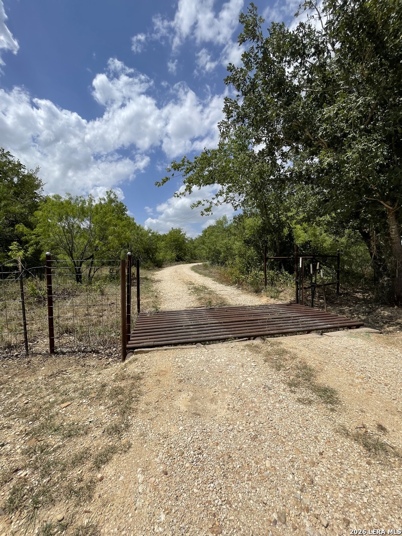 Tbd Hidden Pine Court Luling, TX 78648 - Photo 4 of 10 a view of a yard with plants and trees