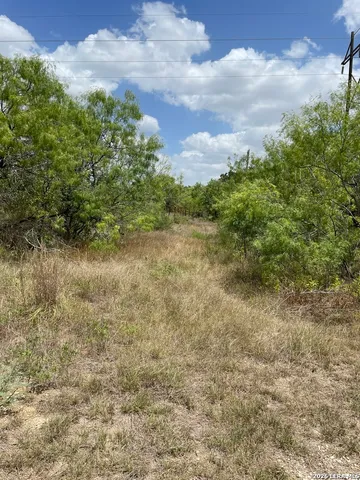 a view of a field with trees in the background