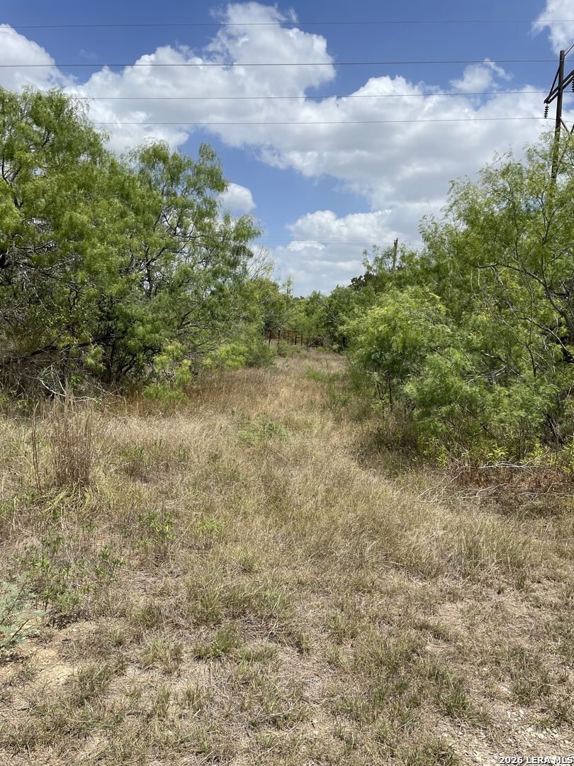 Tbd Hidden Pine Court Luling, TX 78648 - Photo 5 of 10 a view of a field with trees in the background