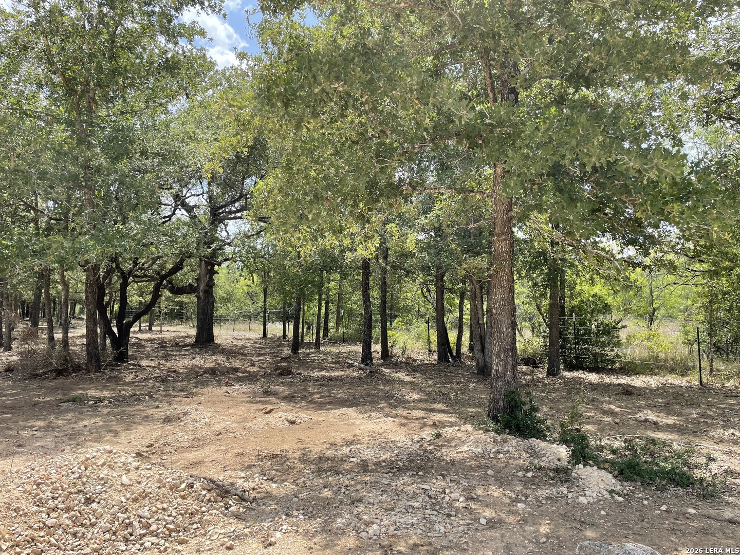 Tbd Hidden Pine Court Luling, TX 78648 - Photo 8 of 10 a backyard of a house with lots of trees
