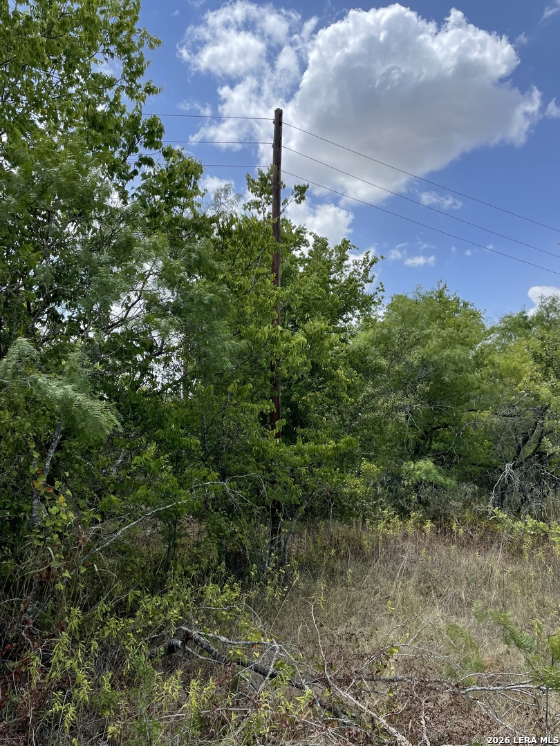 Tbd Hidden Pine Court Luling, TX 78648 - Photo 9 of 10 a view of a city with lush green space