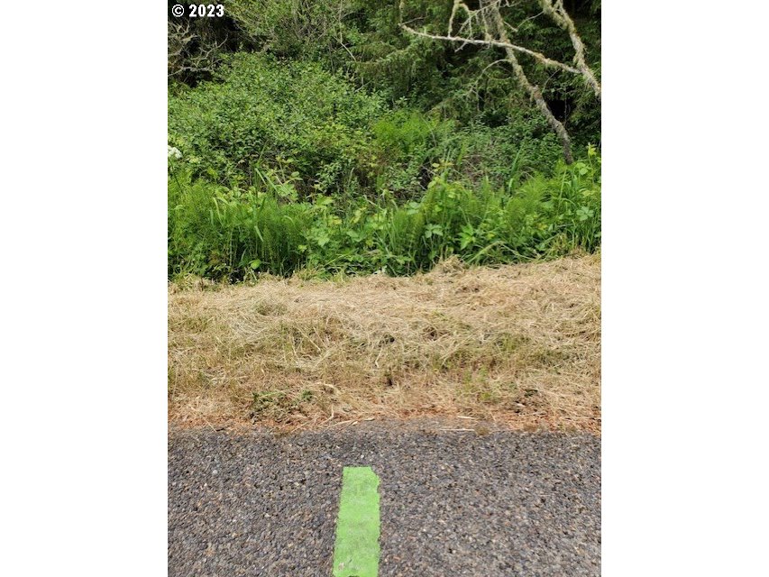 Munsel Lake, Unit TL100 Florence, OR 97439 - Photo 11 of 20 a view of a backyard