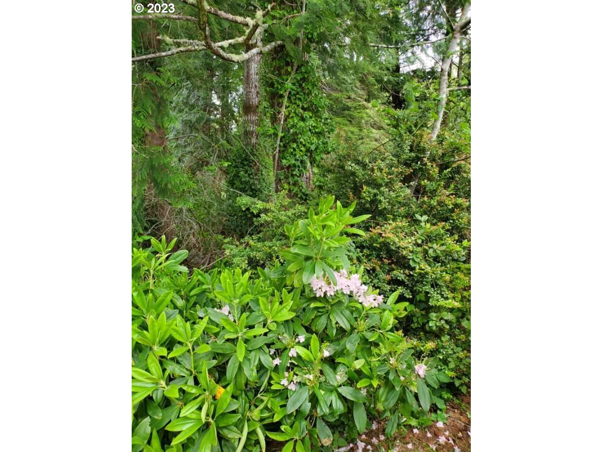 Munsel Lake, Unit TL100 Florence, OR 97439 - Photo 13 of 20 a backyard of a house