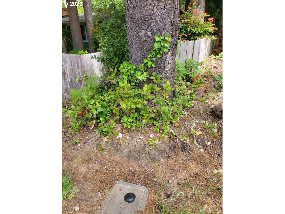 Munsel Lake, Unit TL100 Florence, OR 97439 - Photo 8 of 20 a potted plant sitting in front of a door