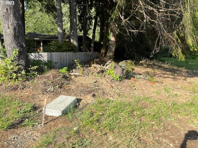 Munsel Lake, Unit TL100 Florence, OR 97439 - Photo 9 of 20 a view of backyard with green space