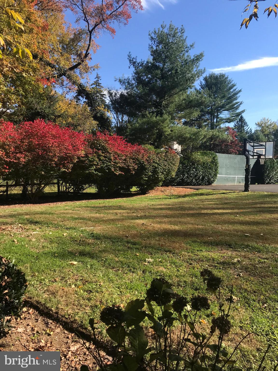 938 Meetinghouse Road Jenkintown, PA 19046 - Photo 11 of 51 yard