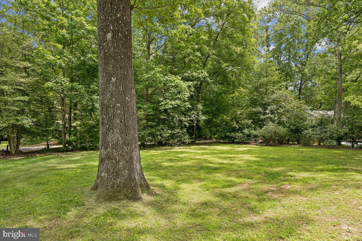 2520 Penny Royal Lane Reston, VA 20191 - Photo 33 of 40