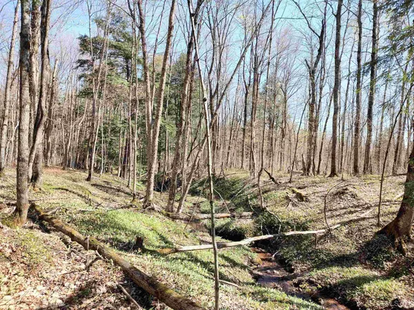 $139,000 | Tbd North Firesteel Road, Ontonagon, MI 49953