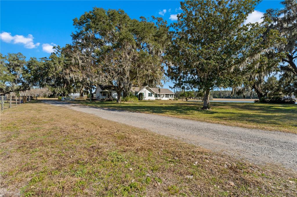 9504 Fort King Road Dade City, FL 33525 - Photo 13 of 14 a view of pool with green space and trees in the background