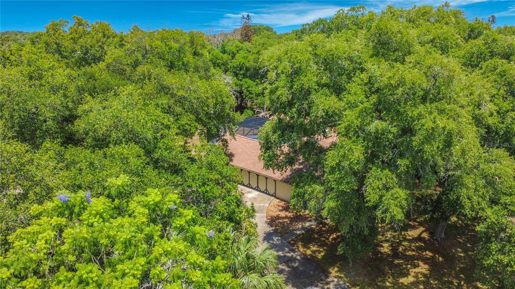 420 Nina Road Northeast Palm Bay, FL 32907 - Photo 5 of 90