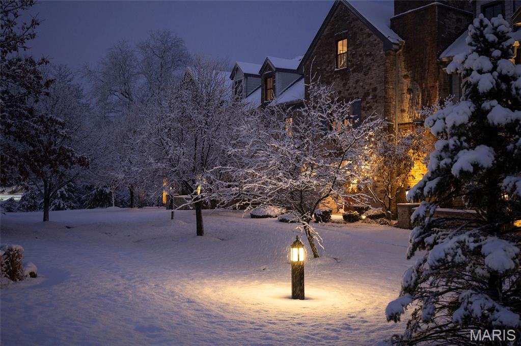 12420 Rott Road, Unit 2B Sunset Hills, MO 63127 - Photo 30 of 32