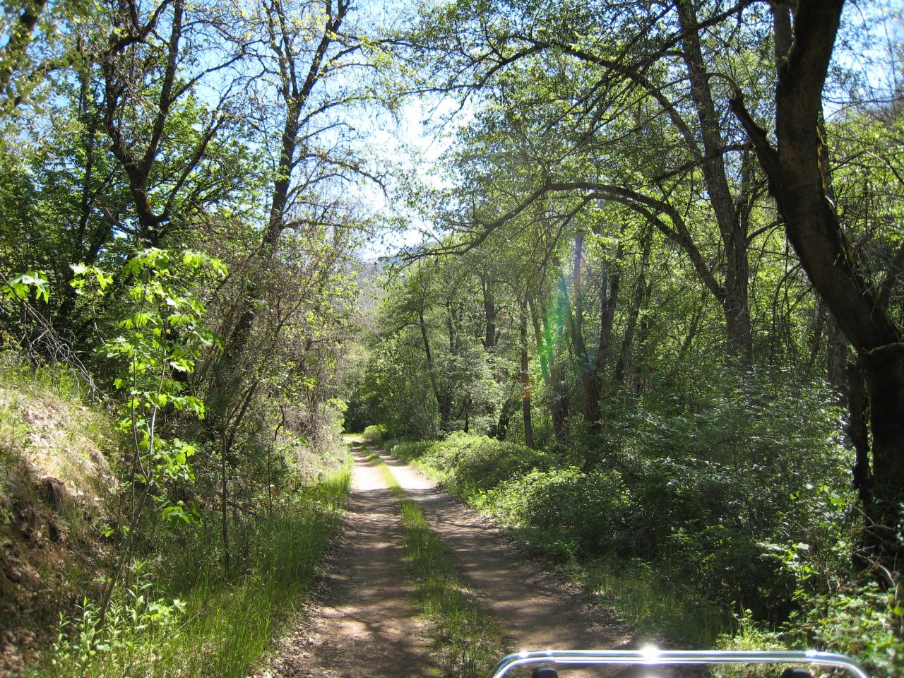 Cline Gulch Road French Gulch, CA 96033 - Photo 1 of 8 Road thru property