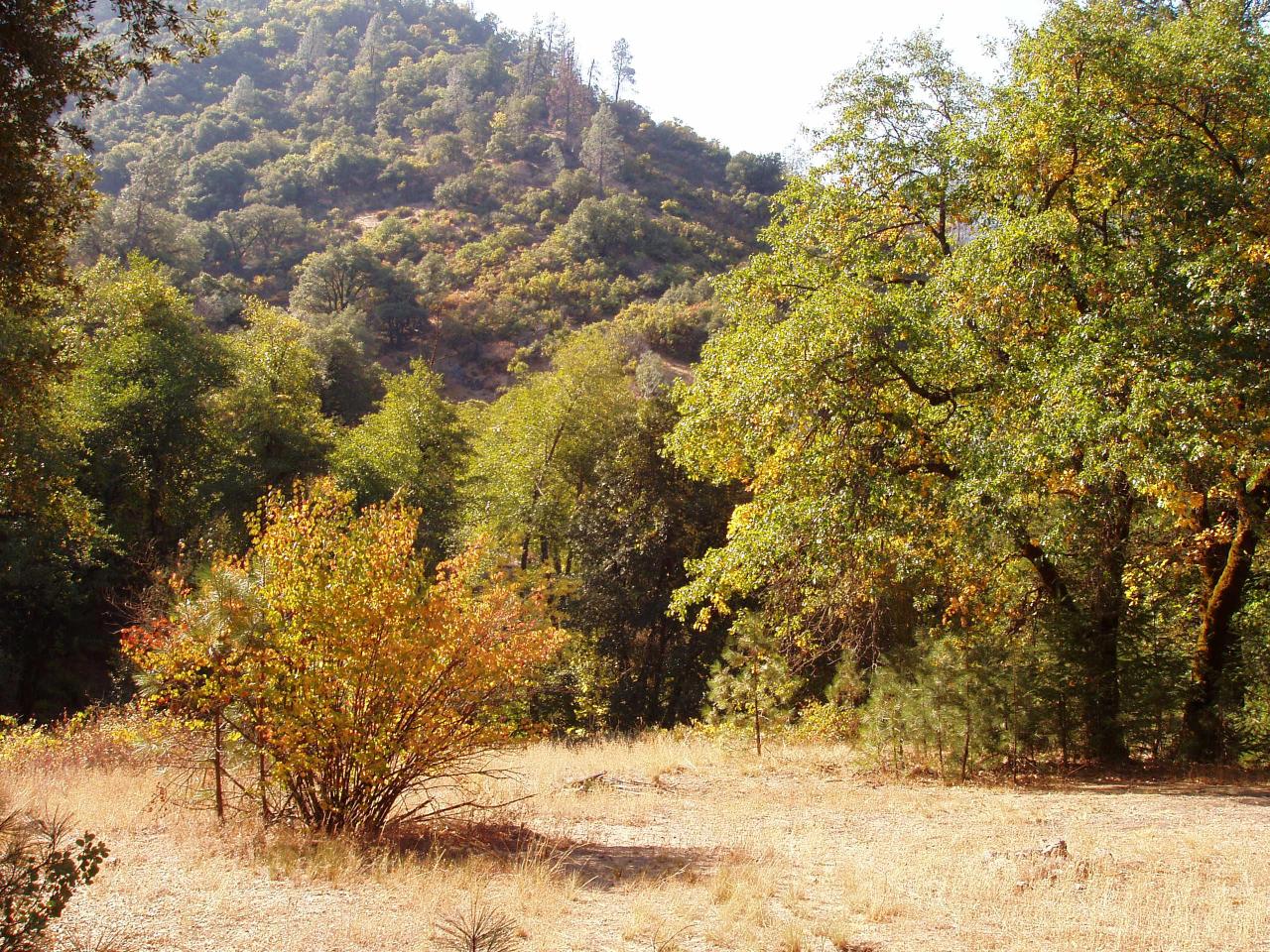 Cline Gulch Road French Gulch, CA 96033 - Photo 3 of 8 Building sites