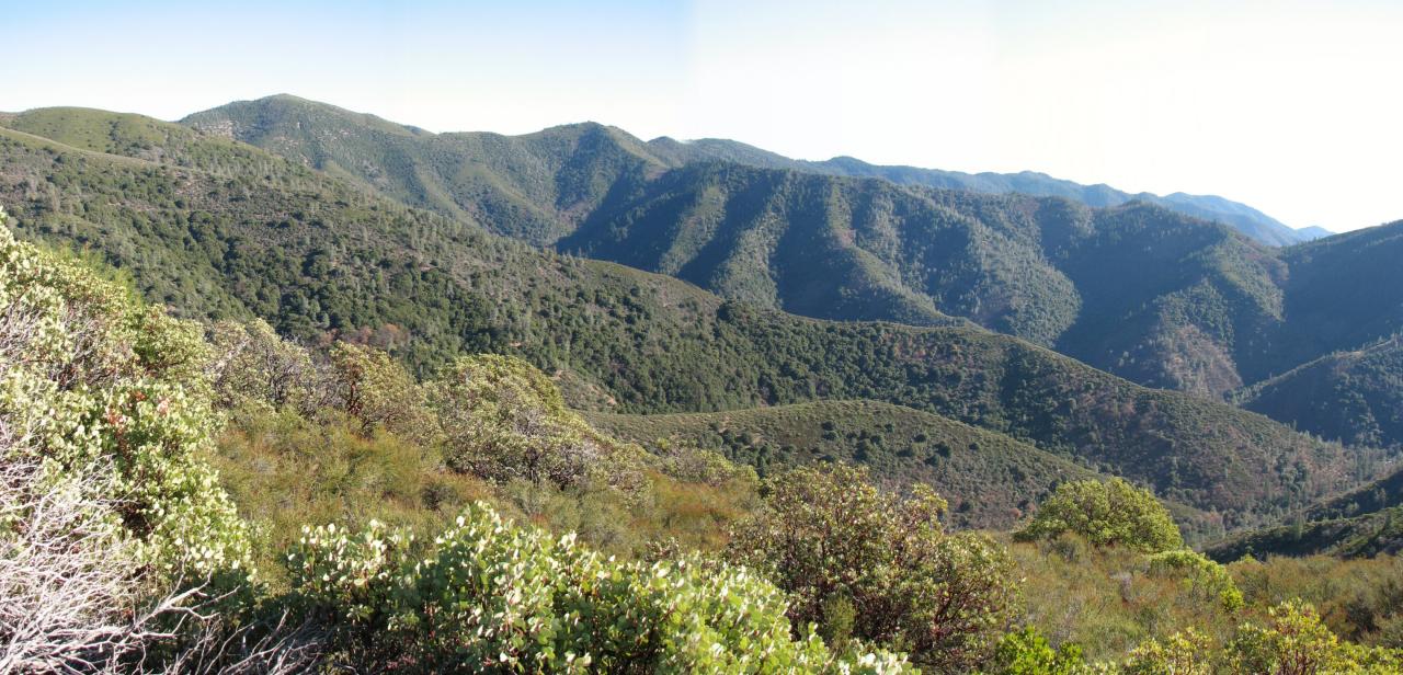 Cline Gulch Road French Gulch, CA 96033 - Photo 6 of 8 Property view