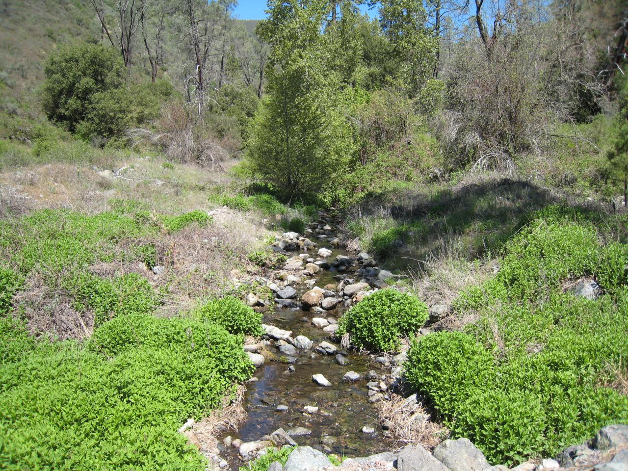 Cline Gulch Road French Gulch, CA 96033 - Photo 8 of 8 One of two creeks