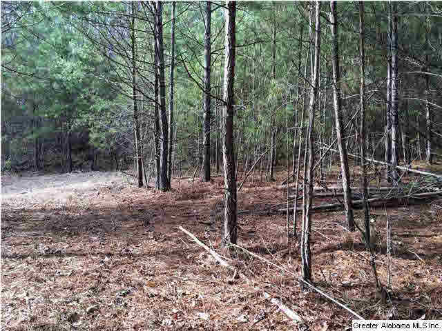 734 Valley Grove Road, Unit 15 4 ACR Remlap, AL 35133 - Photo 23 of 32