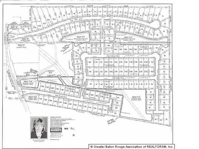 129 Oak Ridge Drive Prairieville, LA 70769 - Photo 2 of 4 Gallery Image 2