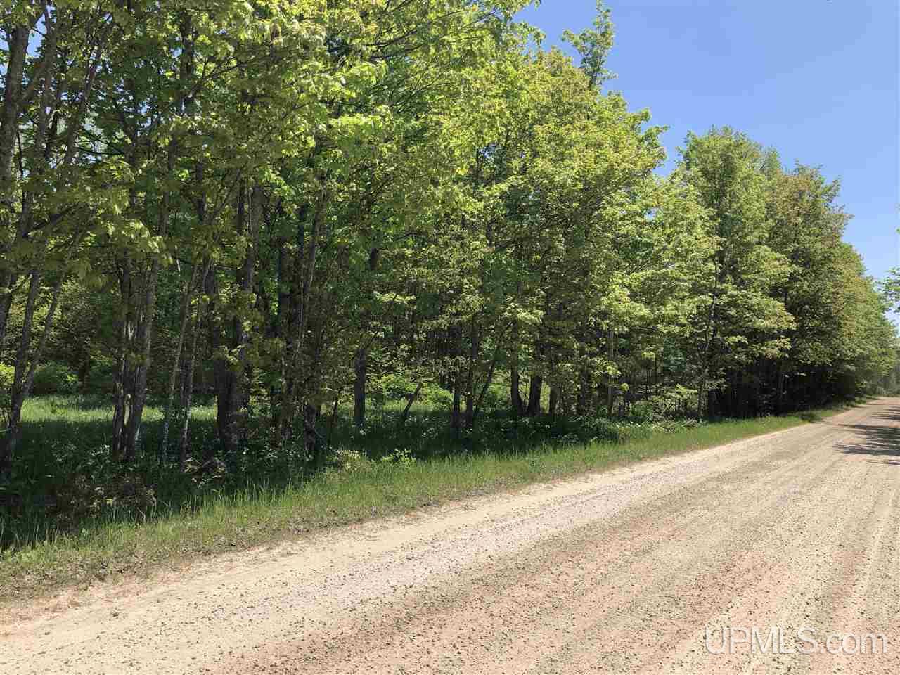 Tbd Tbd Akkala Road Eben Junction, MI 49825 - Photo 1 of 12